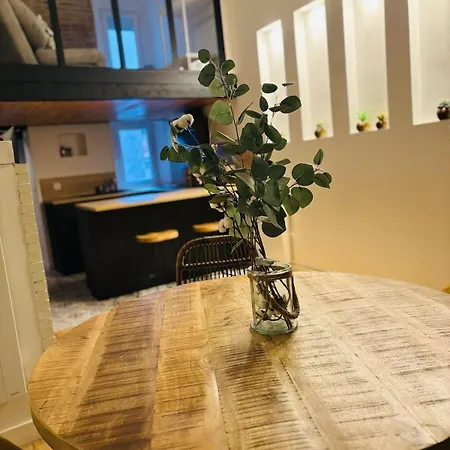 L'elegant Duplex Carmes *