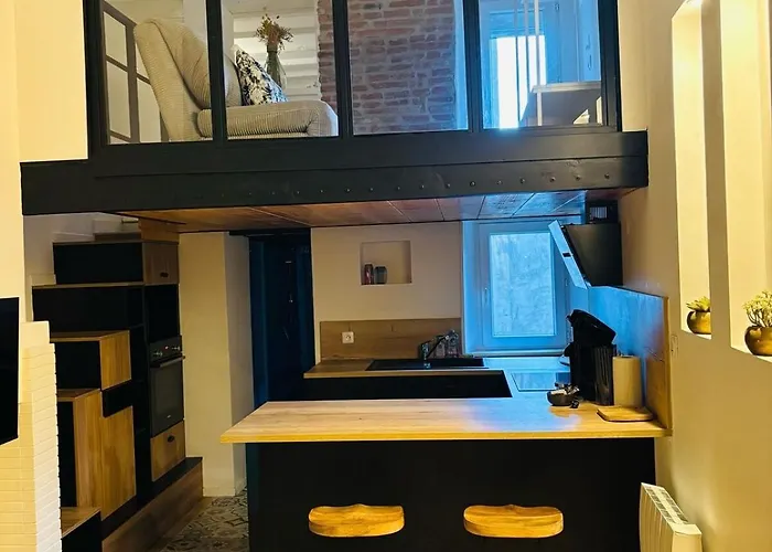 L'elegant Duplex Carmes דירה