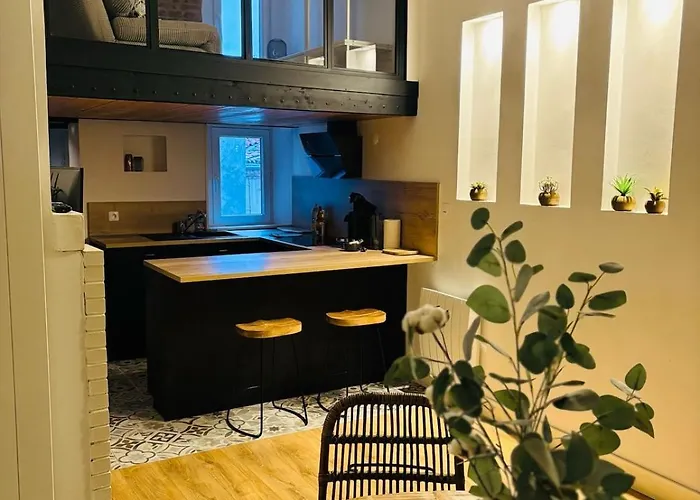 L'elegant Duplex Carmes