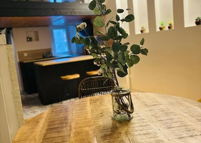 L'elegant Duplex Carmes *