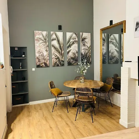 L'elegant Duplex Carmes Tuluza